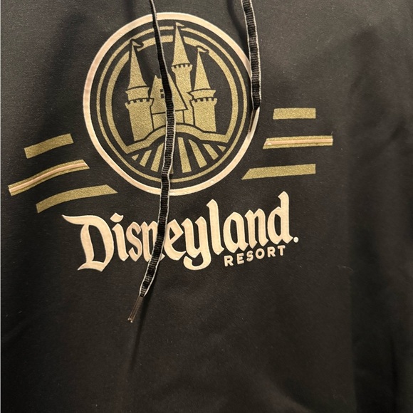 Champion Black Hoodie WALT DISNEY WORLD Men’s Size XL - Picture 3 of 9